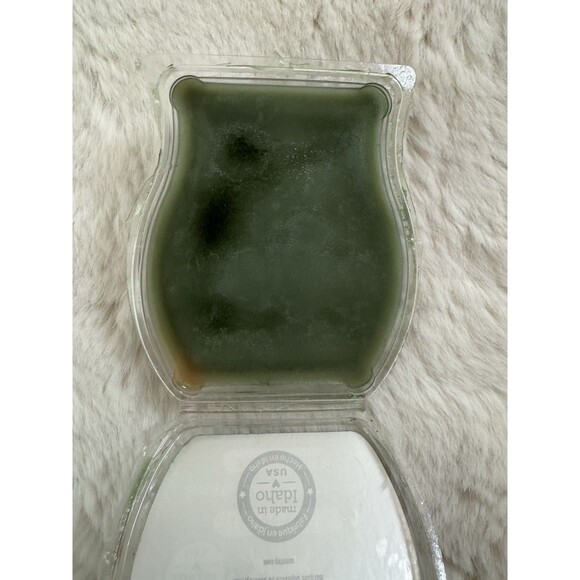 SCENTSY 3.2 oz Bar AUTUMN ROAD TRIP And ICED PINE Wax Bar Melts Fall Winter - Picture 4 of 8